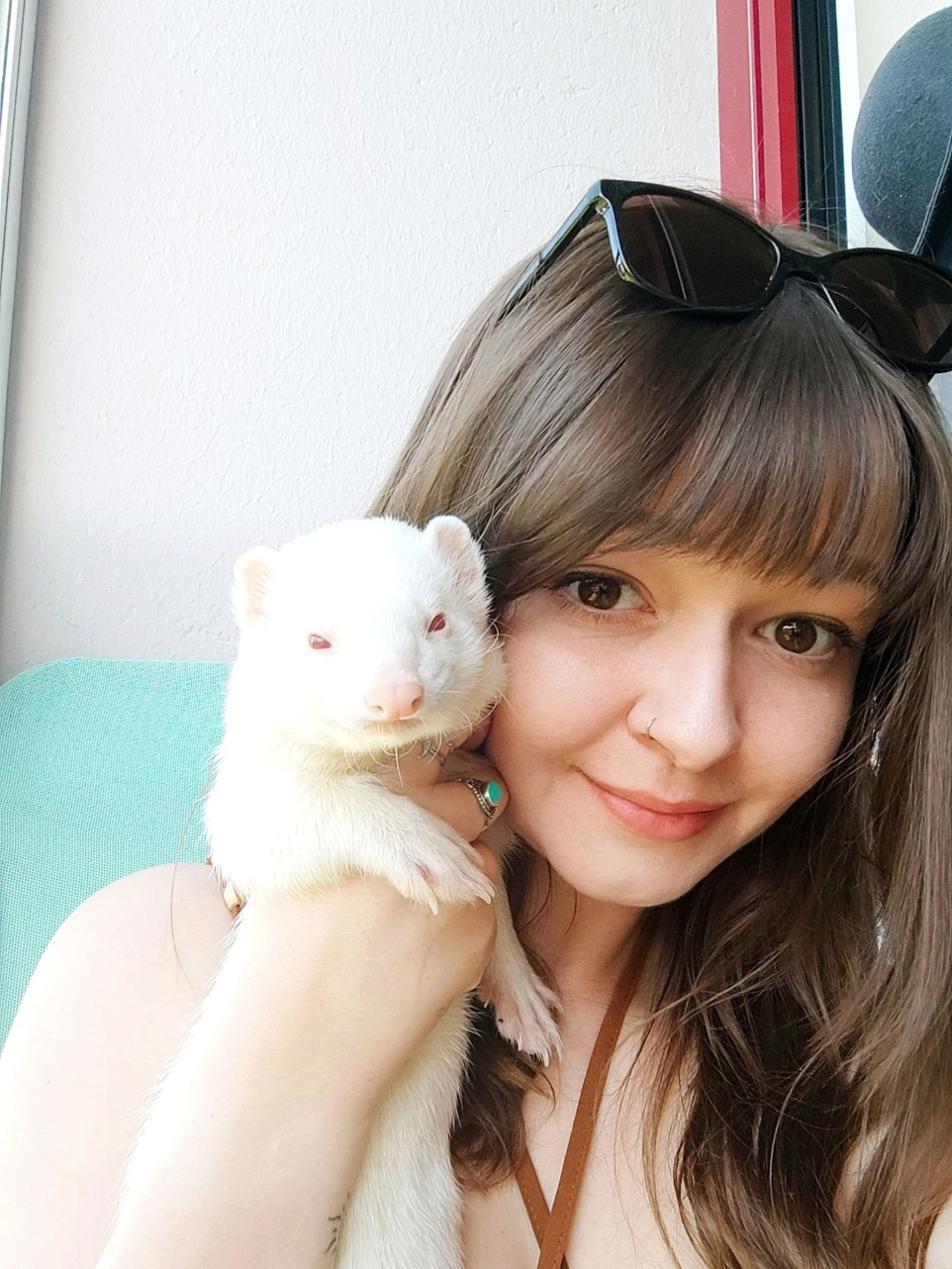Pet sitter furet rennes