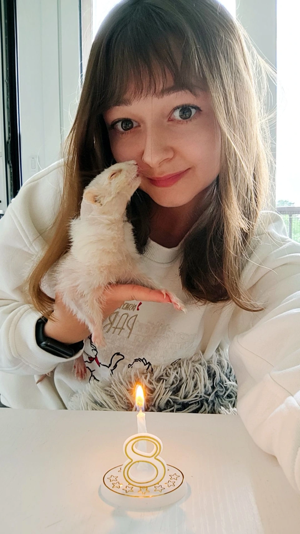 pet sitter furet rennes