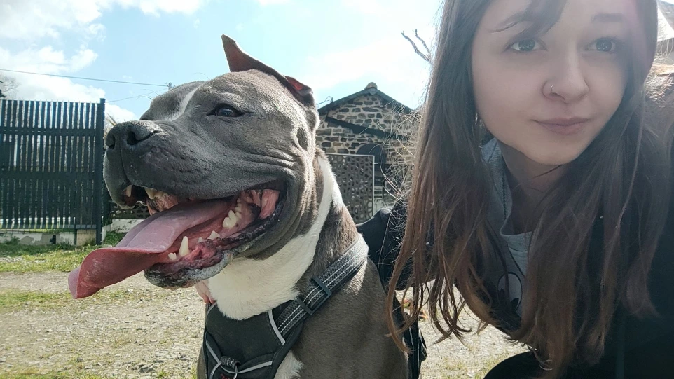 pet sitter chien rennes
