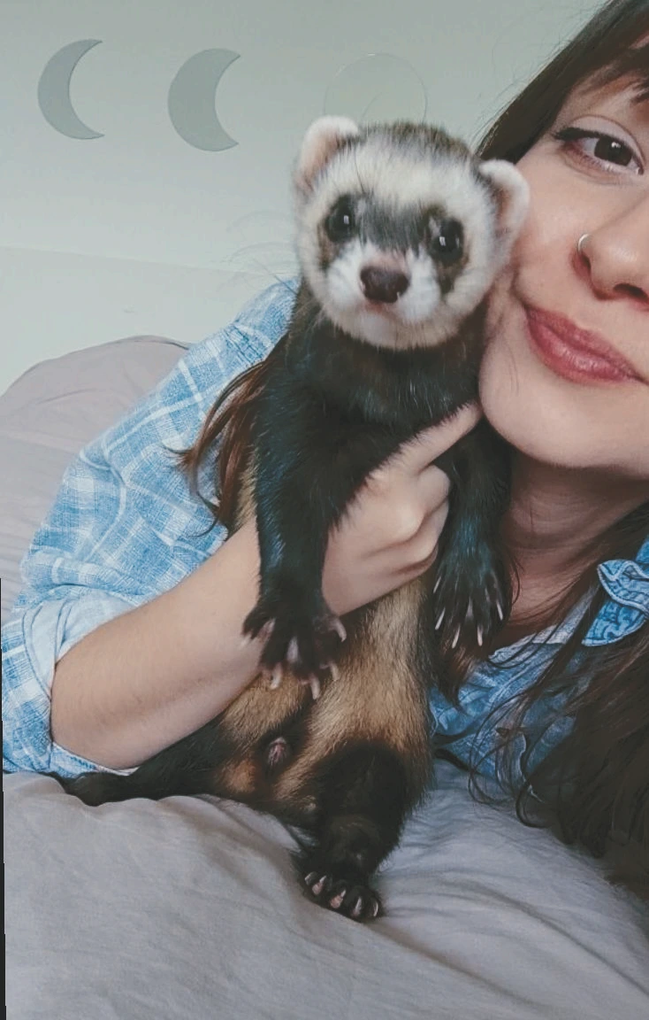 pet sitter furet rennes