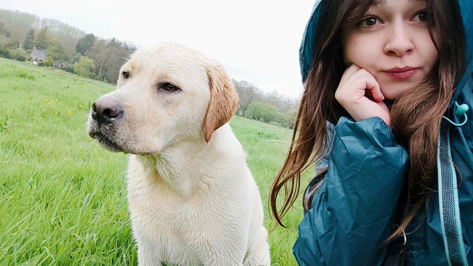 pet sitter chien rennes