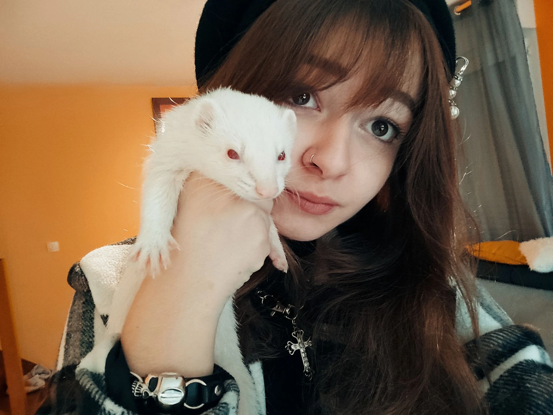 pet sitter furet rennes